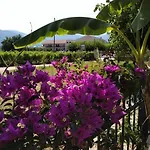 Rosegarden *
