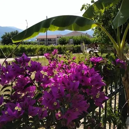Rosegarden *
