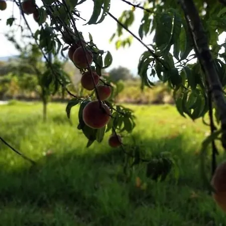 Rosegarden Prázdninový dům