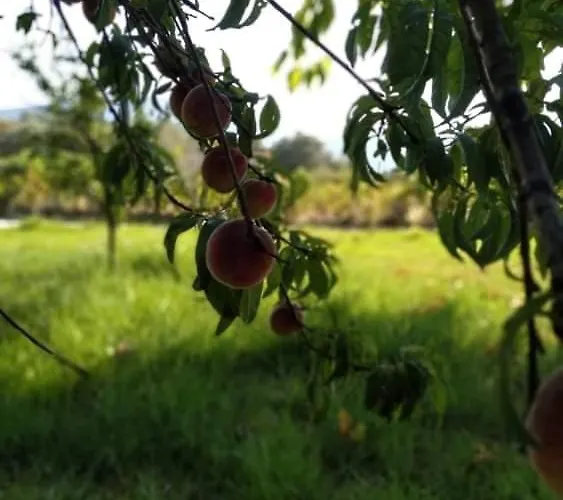 Rosegarden Holiday home