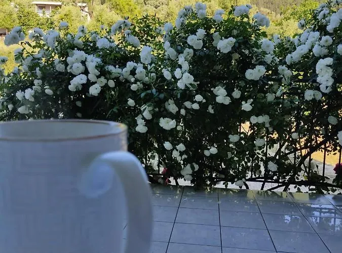 بيت للعطل Rosegarden سامي